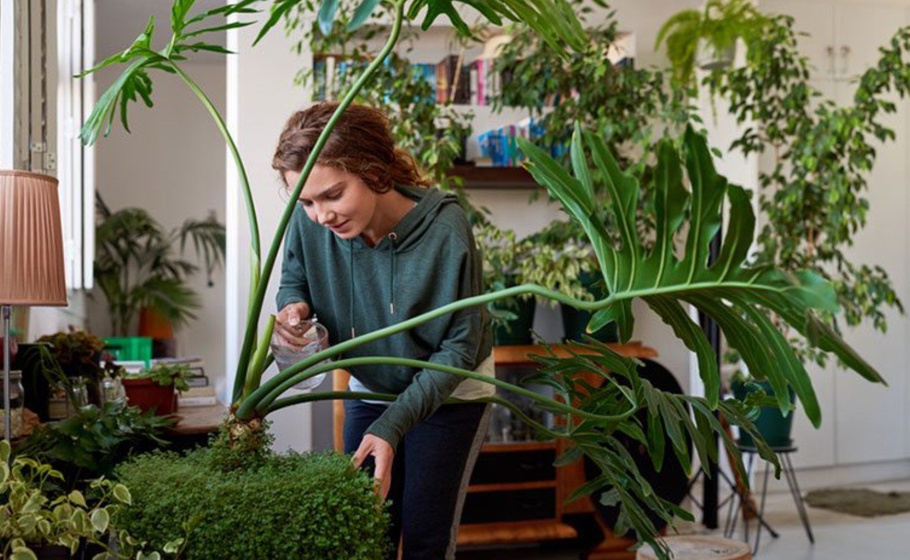 Счастливая женщина с комнатным растением